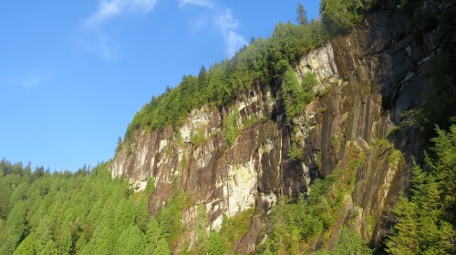 old-growth-cliff-2